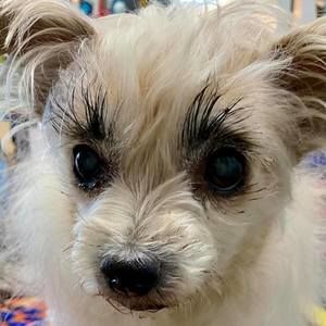 Meet your Posher, Kristy